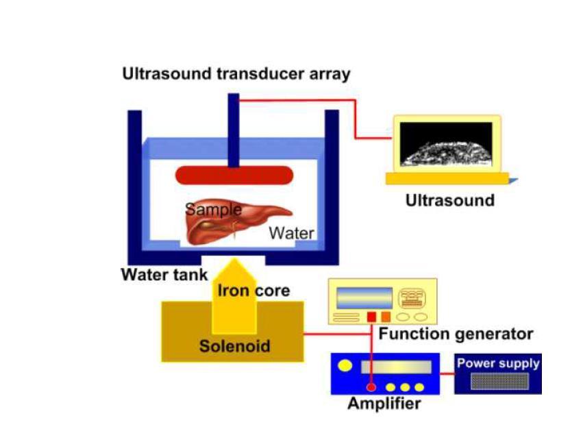 나노바이오 초음파 시스템의 개략도 (초음파 시스템 + 함수발생기 (Function Generator) + 전류증폭기 (Current Amplifier) + 솔레노이드 (Solenoid) + 전원 공급기 (Power Supply))