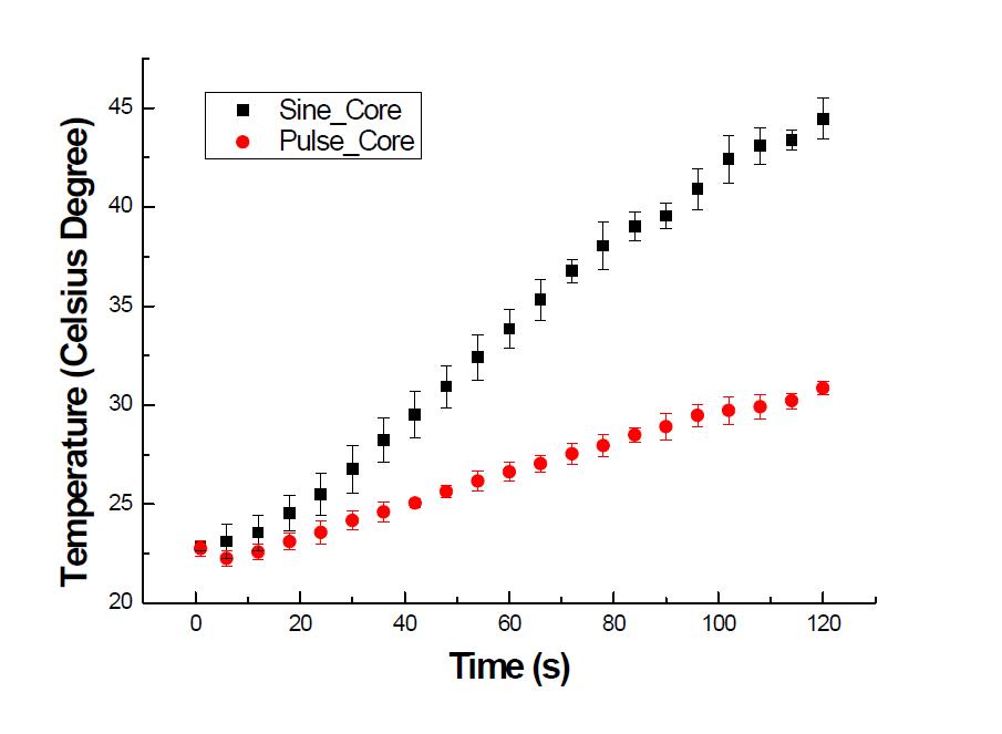 솔레노이드의 IRON-CORE 에서 sinusoidal 과 pulse 자기발생장치에 의해 발생하는 열 측정