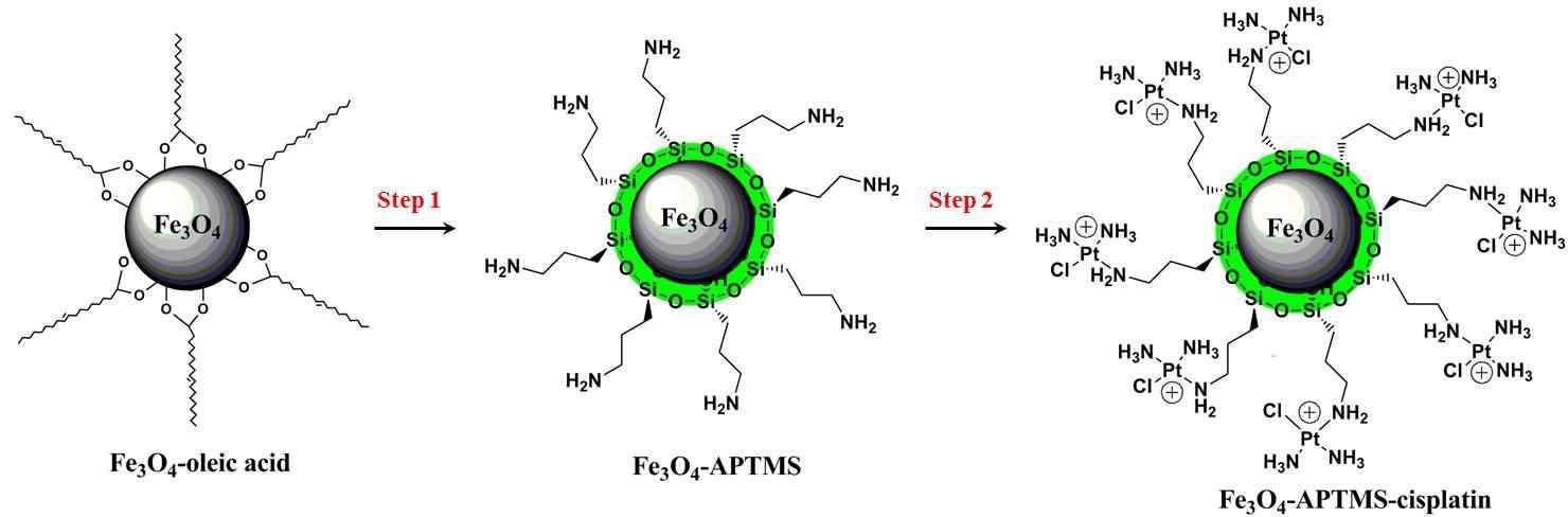 Fe3O4-APTS-cisplatin 나노입자의 합성 방법 개략도