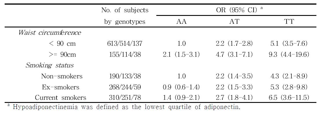 KARE 코호트 연구에 참여한 연구대상자 남성에서 연령을 통제한 후 허리둘레와 흡연여부에 따른 CDH13 (rs3865188) genotype과 hypoadiponectinemia와의 연관성