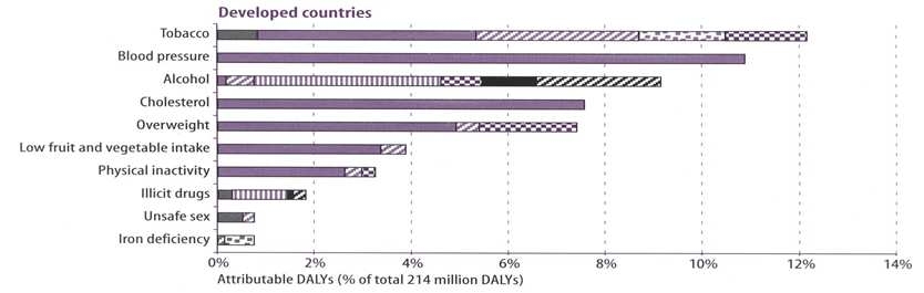 그림 1. 주요 위험요인의 질병부담