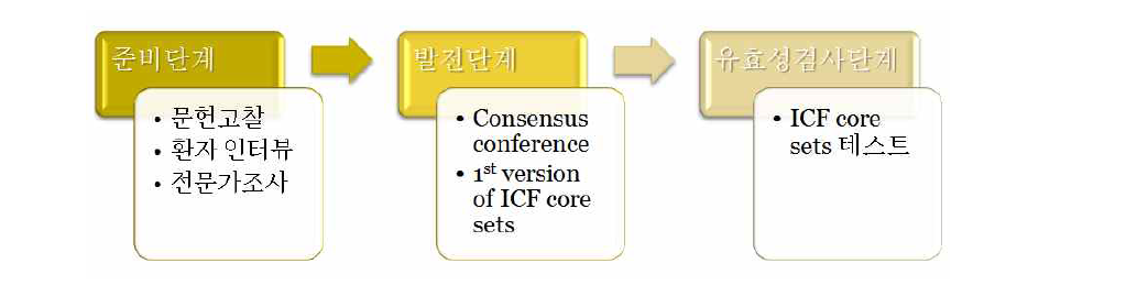 ICF core set의 개발 프로세스의 계획표