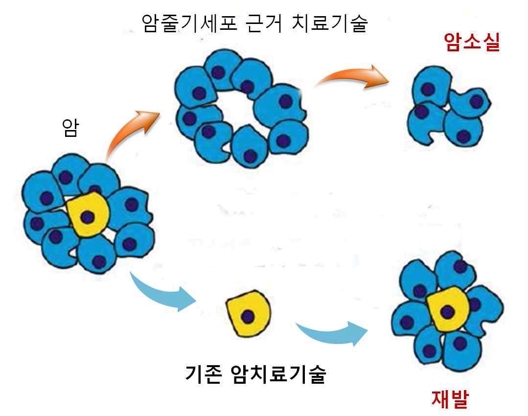 기타