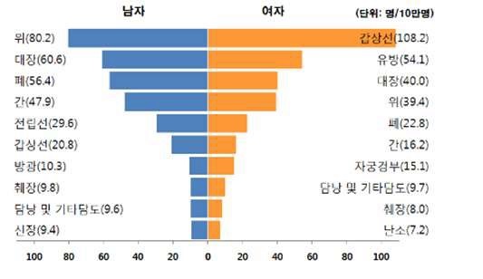 기타