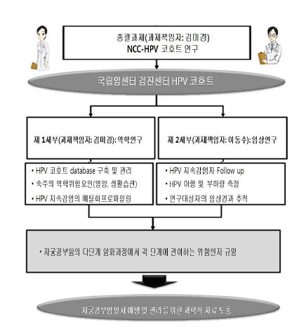 Figure 3. HPV 코호트 연구 체계