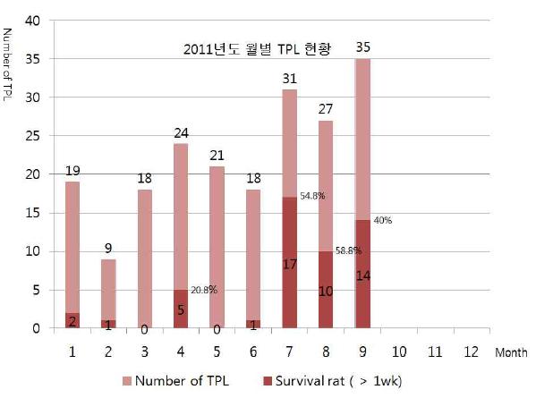 2011년도 월별 TPL(transplantation) 현황.