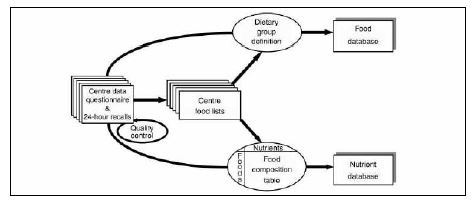 그림 3. Flow chart of dietary data