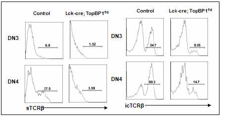 DN3 단계에서 발현되는 TCR 분석.