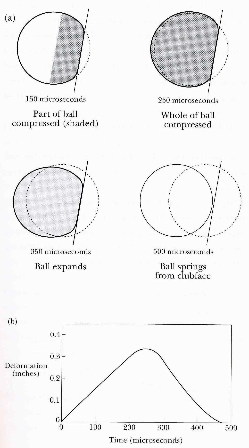 (a) 골프볼의 압축(Compression)과 팽창(Expansion)을 보여주고 (b) 골 프볼을 임팩트하는 동안 시간에 따른 골프볼의 변형 (Deformation)을 보여준다. 골 프볼은 이 순간 압축과 팽창을 번갈아 가면서 진동을 한다. 이 과정이나 골프볼이 헤드를 떠나는 순간에 골프볼의 백스핀을 측정하면 골프볼의 딤플에 의한 백스 핀의 효과를 제대로 된 골프볼의 백스핀을 측정할 수 없다.