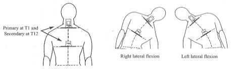 Thoracic lateral flexion