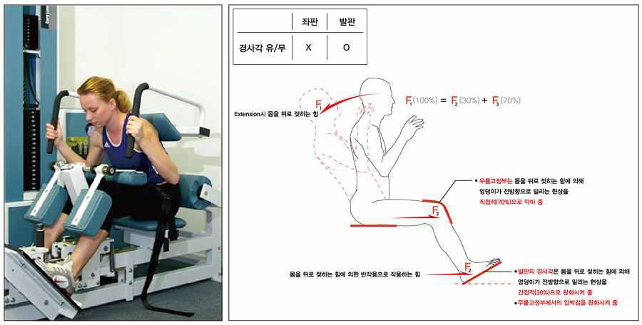 Extension시 따른 신체 각 부위가 받는 압력