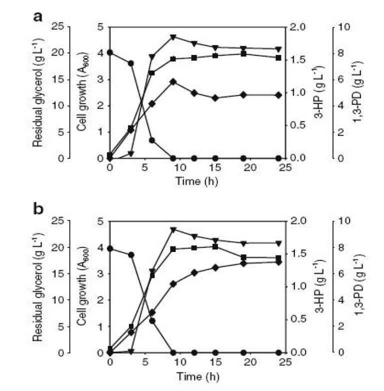 Batch fermentation of a K. pneumoniae strain harboring pVOT (a) or pVOTLp (b). Residual glycerol, circle; cell growth, square; 1,3-PD, triangle; 3-HP, diamond