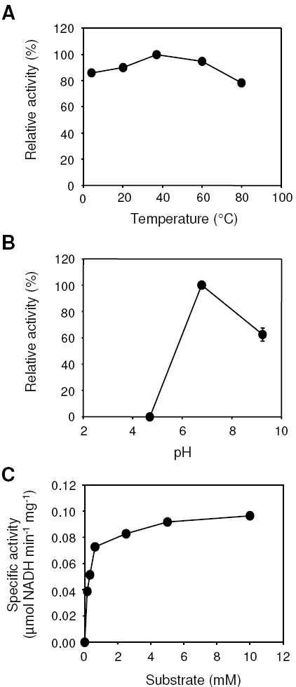Effects of temperature (A), pH (B), and substrate concentration (C) on PduP activity.