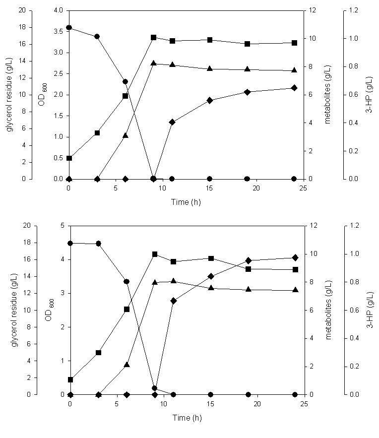 Batch fermentation of a K. pneumoniae strain harboring pGEM (a) or pGEMP (b). Residual glycerol, circle; cell growth, square; 1,3-PD, triangle; 3-HP, diamond