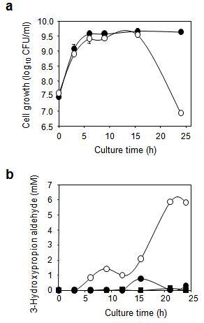 Cell viabilities (a) and 3-hydroxypropionaldehyde levels (b) of the K. pneumoniae wild-type (closed circle) and ΔpduP mutant (open circle).