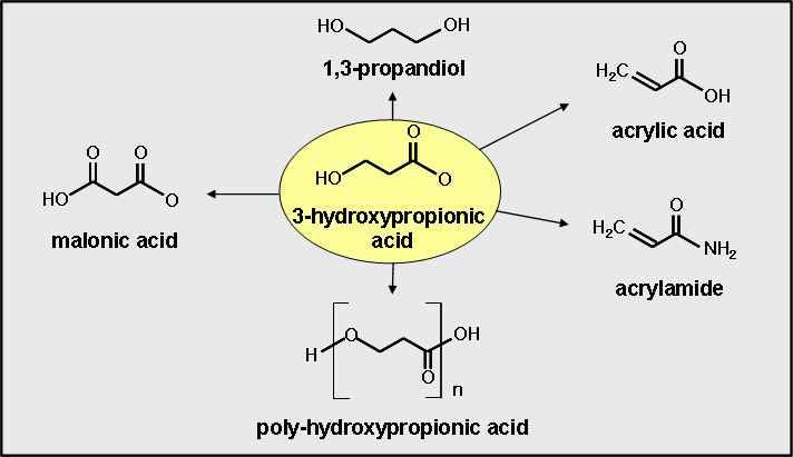 3-하이드록시프로피온산의 활용