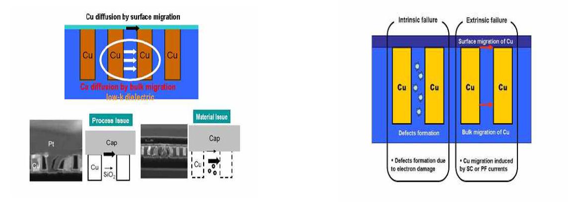 Cu migration induced failur in ILD