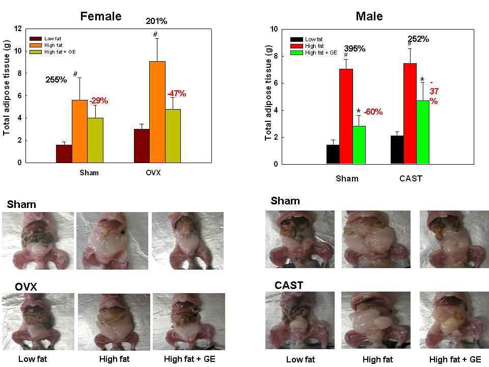 Regulation of adipose tissue weight by ginseng extract in high fat diet-induced obese female and male mice.