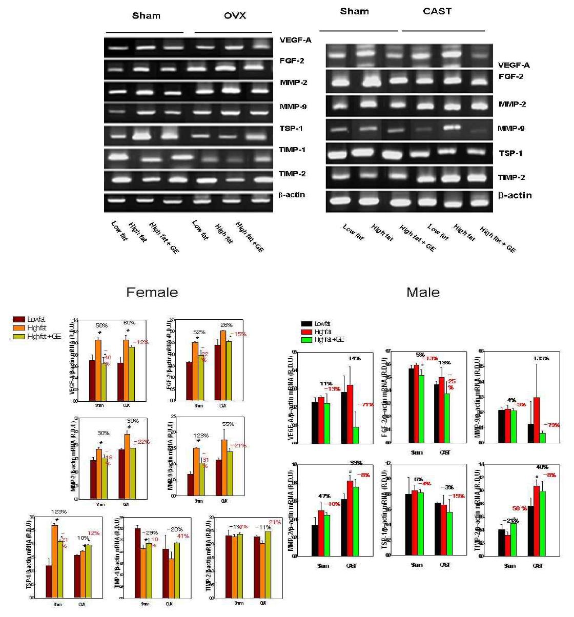 Effects of ginseng extract on mRNA expression of angiogenic factors, MMPs, and their inhibitors in visceral adipose tissues of diet-induced obese mice.