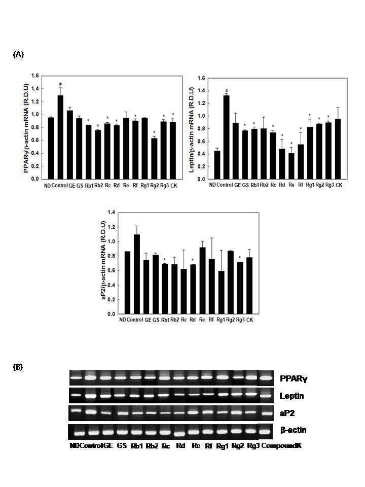 Effects of ginseng on mRNA expression of adipose-specific genes in 3T3-L1 cells.