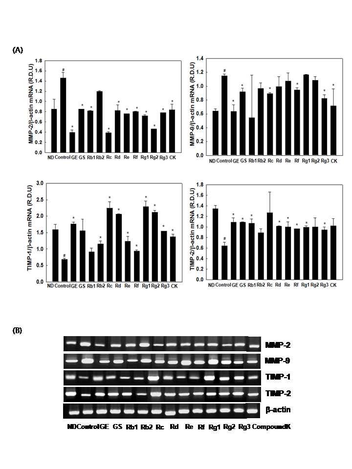 Effects of ginseng on mRNA expression of MMPs and TIMPs in 3T3-L1 cells.