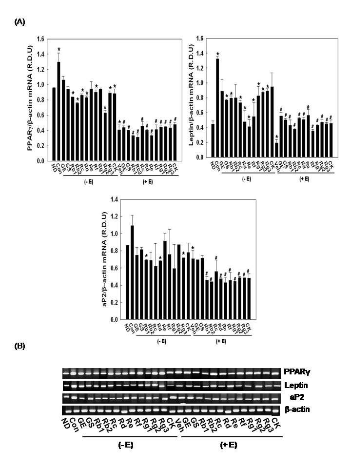 Effects of 17β-estradiol on ginseng-reduced mRNA expression of adipose-specific genes in 3T3-L1 cells.