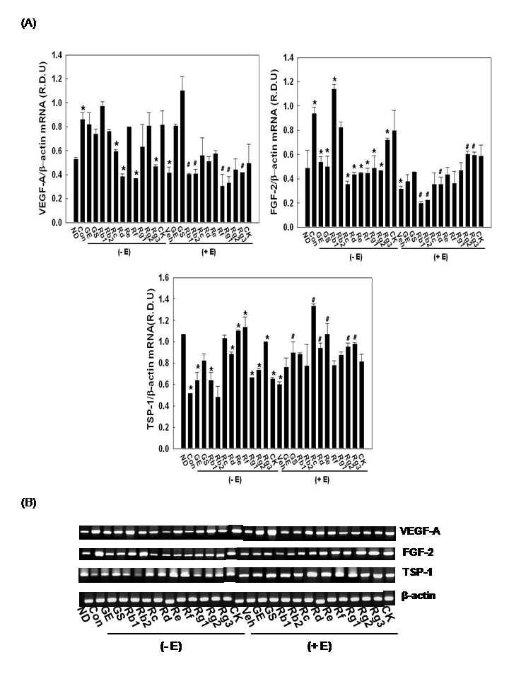 Effects of 17β-estradiol on ginseng-reduced mRNA expression of genes involved in angiogenesis in 3T3-L1 cells.