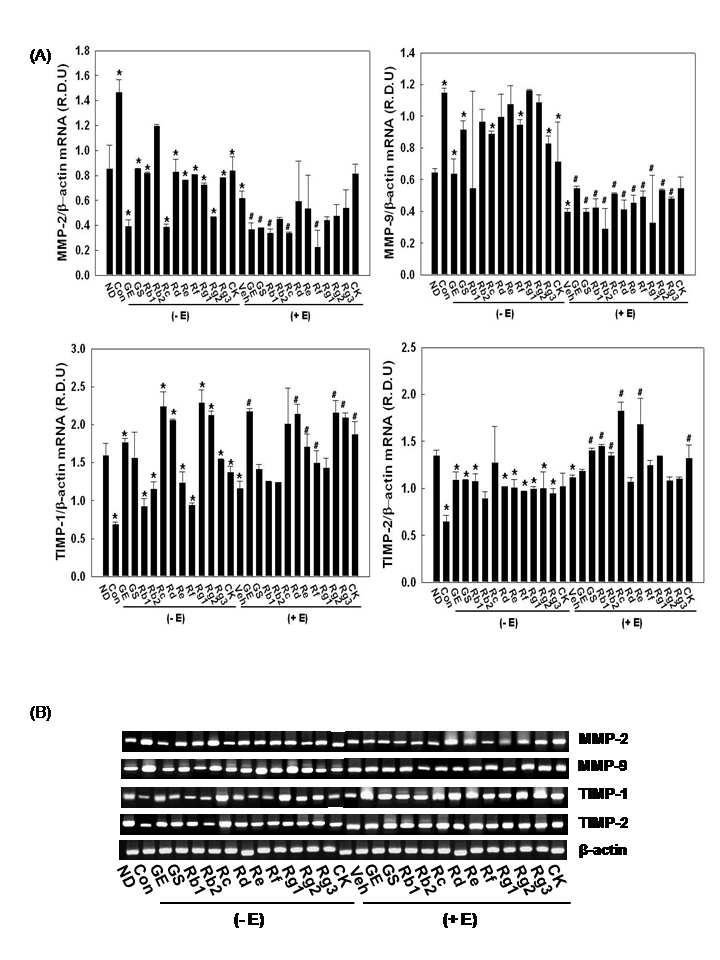 Effects of 17β-estradiol on ginseng-reduced mRNA expression of genes involved in MMP system in 3T3-L1 cells.