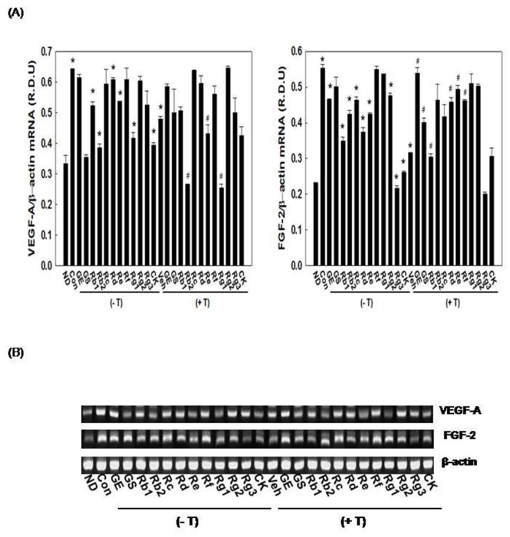 Effects of testosterone on ginseng-reduced mRNA expression of angiogenic factors in 3T3-L1 cells.