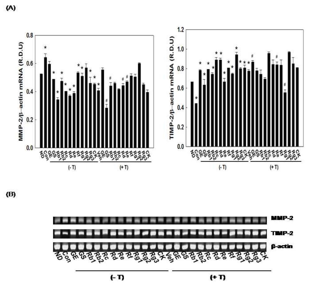 Effects of testosterone on ginseng-reduced mRNA expression of genes involved in MMP system in 3T3-L1 cells.