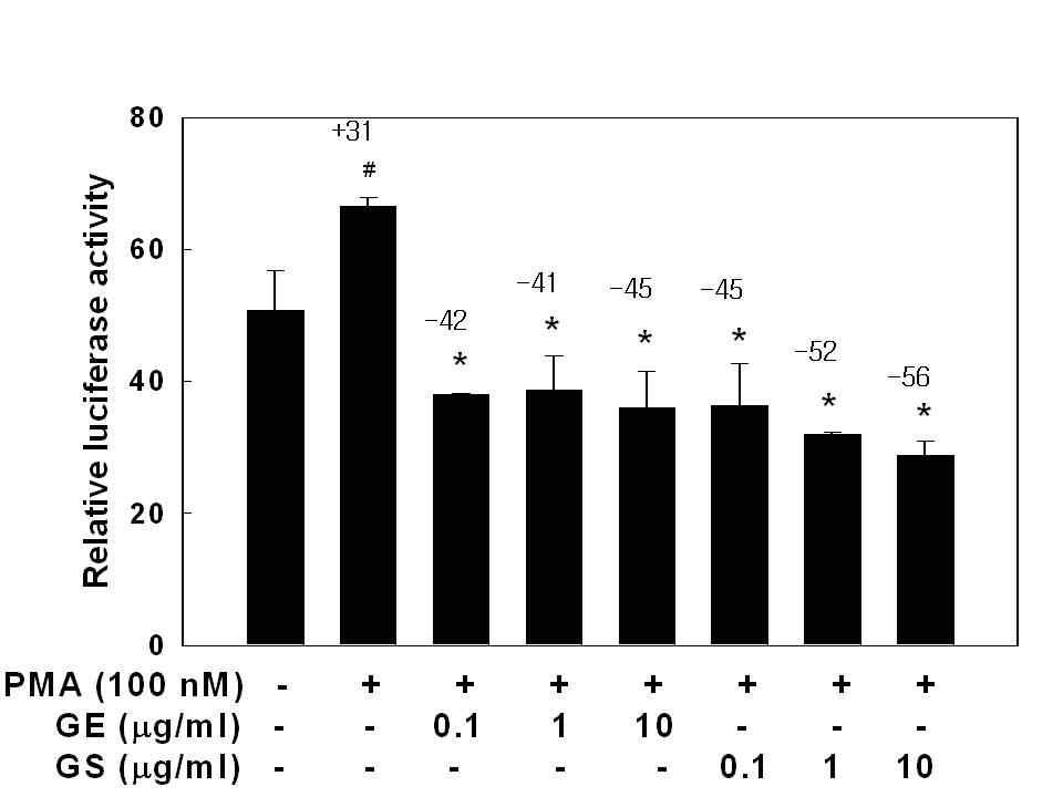 Effects of GE and GS on MMP-9 reporter gene activation.