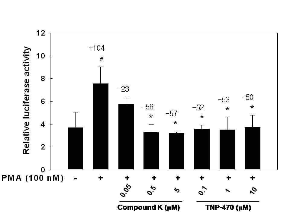 Effects of compound K and TNP-470 on MMP-9 reporter gene activation.