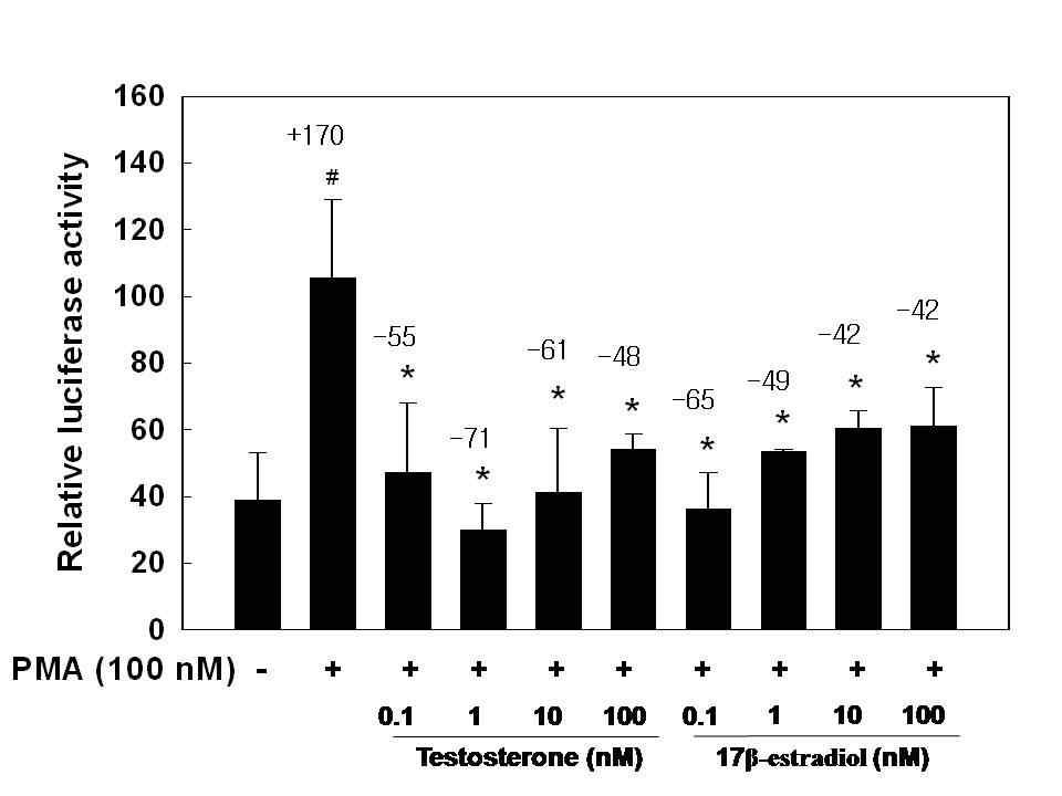 Effects of testosterone and 17β-estradiol on MMP-9 reporter gene activation.