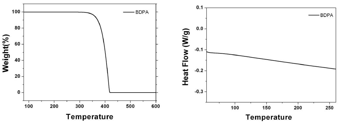 TGA thermogram (L) and DSC curve (R) of BDPA in nitrogen atmosphere at a scan rate 10℃/min