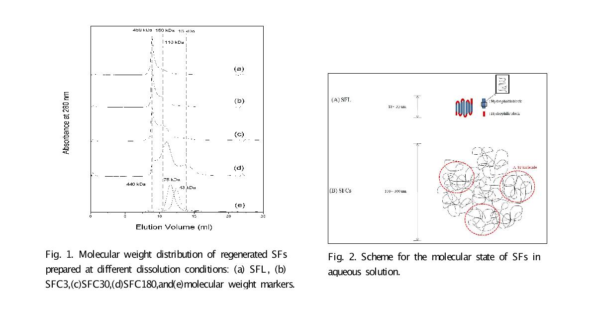 Molecular weight distribution of regenerated SFs Fig. 2. Scheme for the molecular state of SFs in