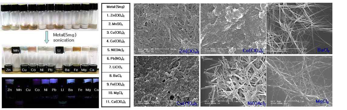 Gelation test and SEM images of ligand 3.