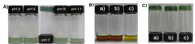 Photographs of hydrogels 4