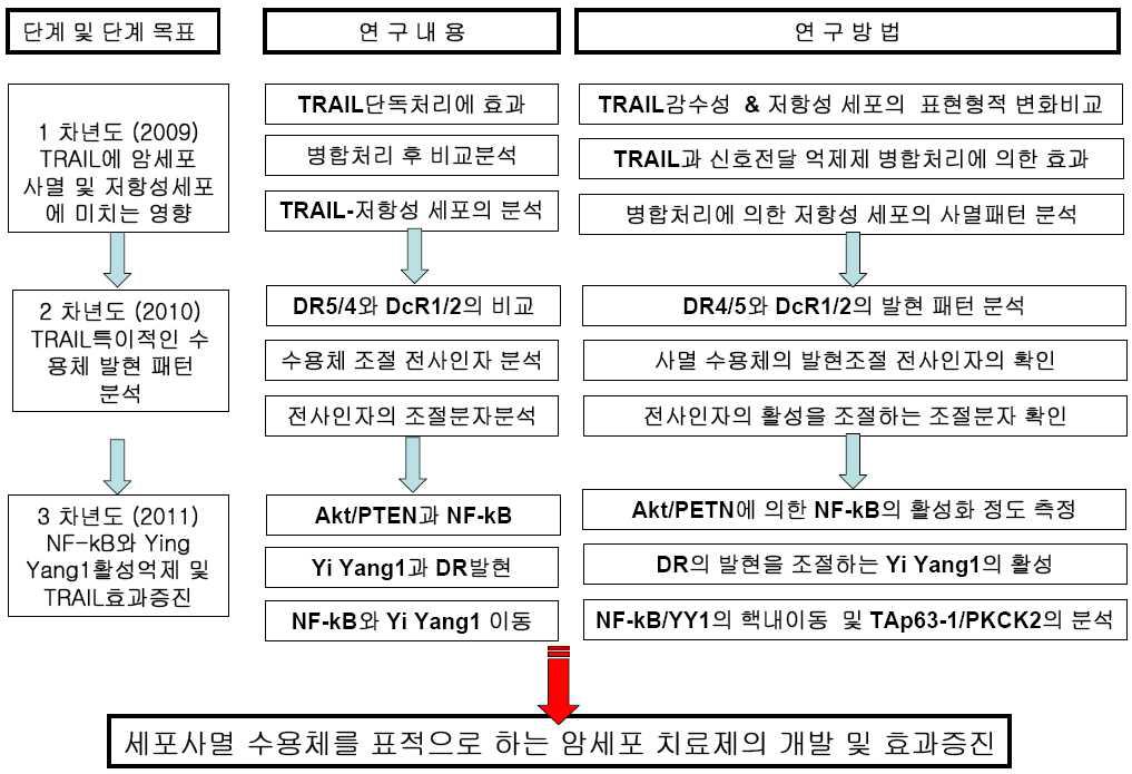 연차별 연구목표 및 내용 모식도