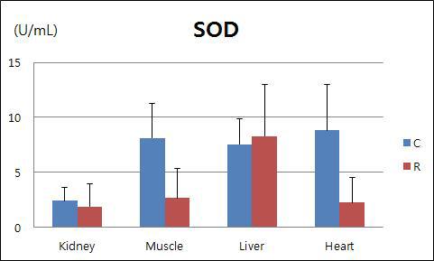 조직별 SOD측정