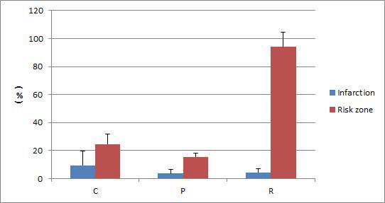 각 군에서 Infarction과 risk zone의 발생 넓이 비율.