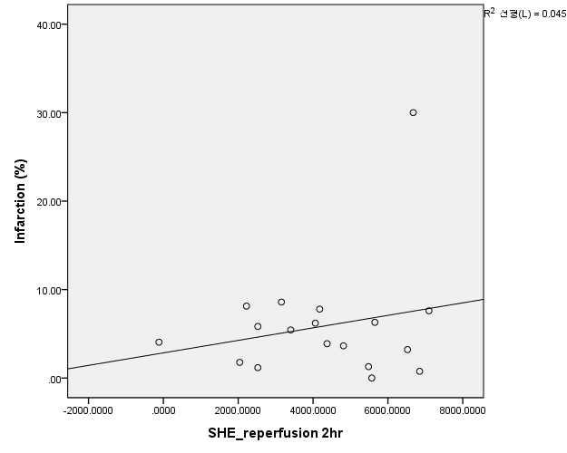 reperfusion 2hr 시 SHE와 infarction volume관련성