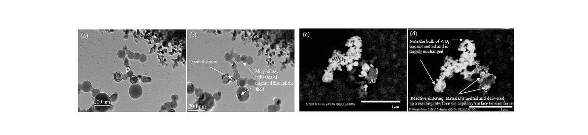 (a) 폭발전 및 (b) 폭발후의 순수 Al 나노입자, 그리고 (c) 폭발전 및 (d) 폭발후 Al/WO 나노입자3