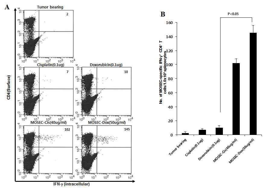 The effect of anti-cancer drug treated-MOSECs on the CD4+ T-cell immune responses in vaccinated mice.