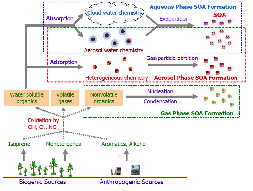 Schematic of SOA　formation vja gas, aqueous, aerosol phase reactions.