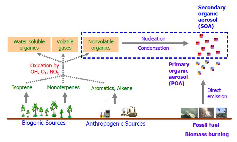 Pathways of primary and secondary organic aerosol in the atmosphere.