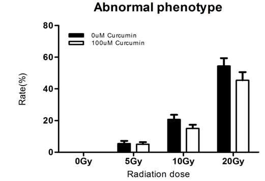 커큐민 전처리에 의한 고선량 방사선 방호효과: 기형발생율 감소