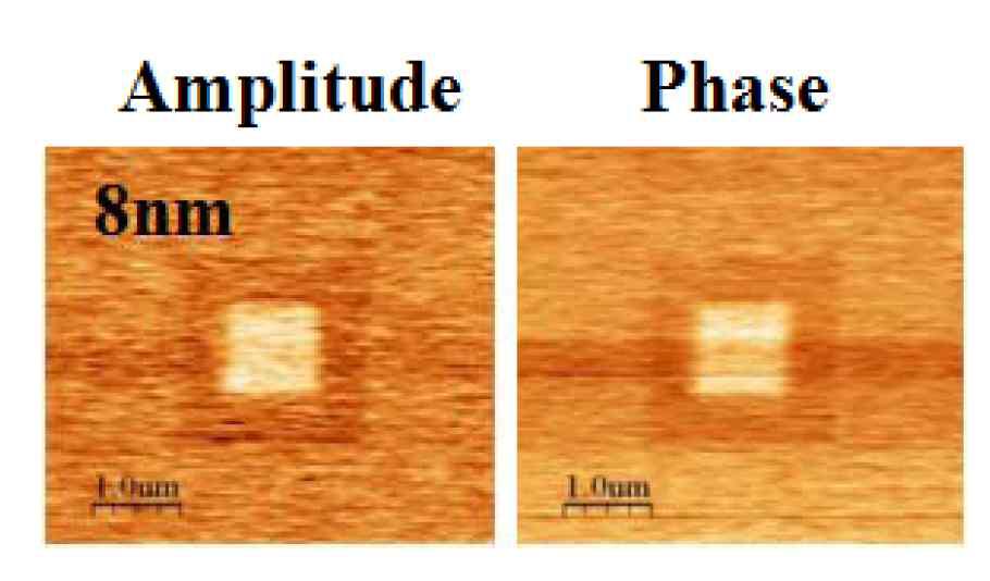 8 nm 두께를 가지는 BSPT 박막의 PFM 실험에 대한 amplitude 및 phase.