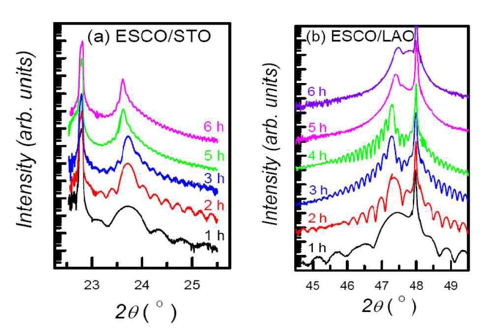 ESCO/STO 및 ESCO/LAO 박막의 두께에 따른 XRD 결과