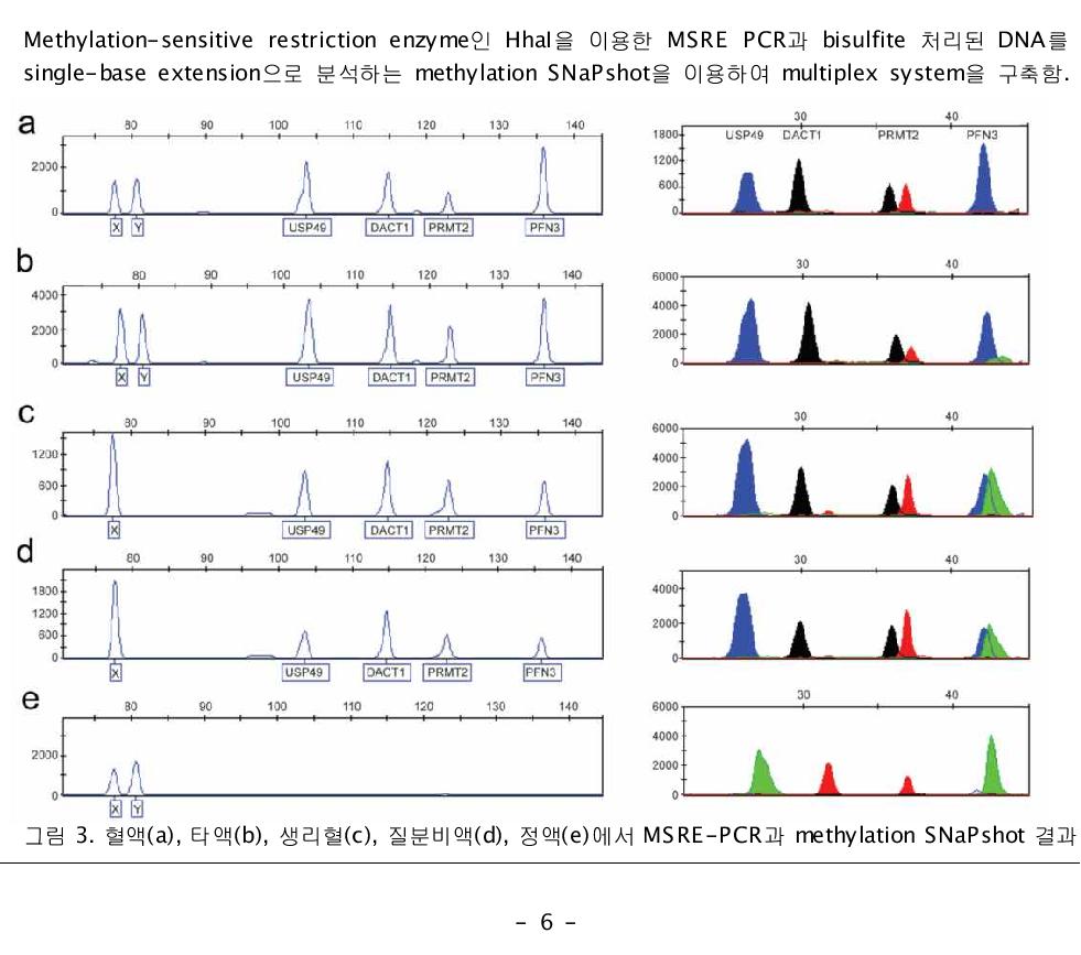 혈액(a), 타액(b), 생리혈(c), 질분비액(d), 정액(e)에서 MSRE-PCR과 methylation SNaPshot 결과