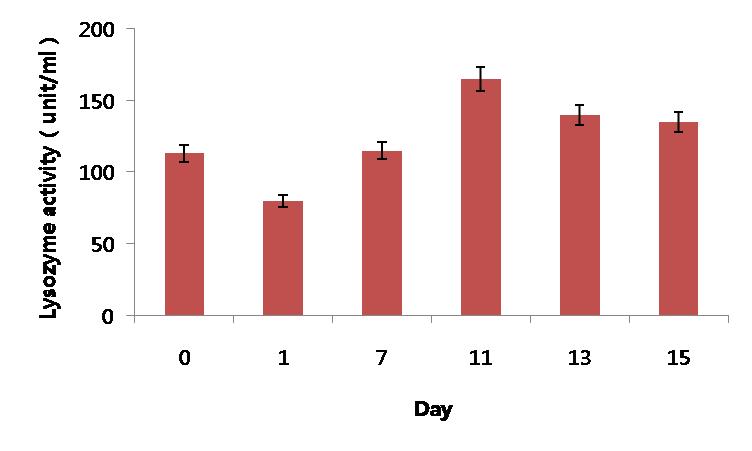 Serum lysozyme activity in the olive flounder, Paralichthys olivaceus injected L. lactis subsp. lactis I2.